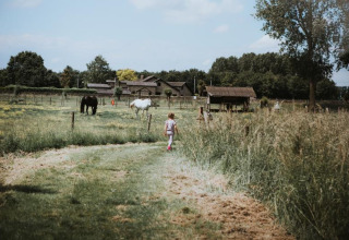 Een kind wandelt op een pad naar paarden op Feather Down Hoeve Brugge, vakantiepark in West-Vlaanderen, België.