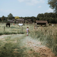 Un niño camina por un sendero hacia caballos en Feather Down Hoeve Brugge, parque vacacional en Flandes Occidental, Bélgica.