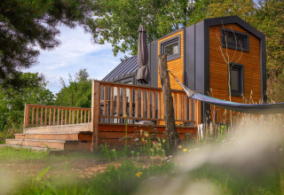 Tiny House presso Holiday Park Sallandshoeve nei Paesi Bassi, con terrazza in legno, amaca e natura.