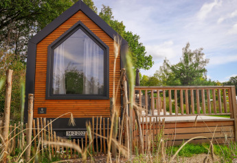 Petite maison en bois avec grande fenêtre et terrasse au Holiday Park Sallandshoeve, Pays-Bas, entourée de verdure.