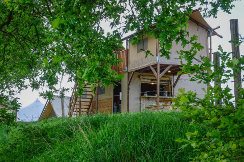 Safaritent 'Treehouse tent' met sanitair bij Holiday Park Mölke in Nederland, tussen bomen en gras.