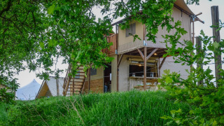 Safaritent 'Treehouse tent' met privé sanitair bij Holiday Park Mölke in Nederland, omgeven door groen.