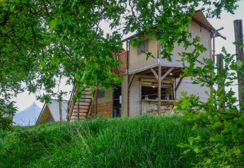 Safari telt 'Treehouse tent' ved Holiday Park Mölke i Holland, gemt blandt grønne træer og græs.