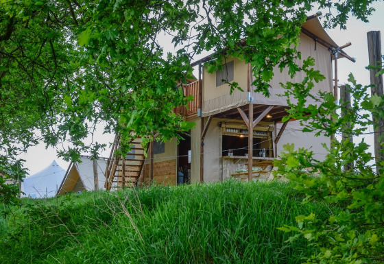 Safaritent 'Treehouse tent' met privé sanitair bij Holiday Park Mölke in Nederland, omgeven door groen.