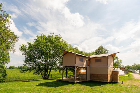 Et billede af et safari-træhustelt med terrasse på Holiday Park Mölke i Holland omgivet af natur.