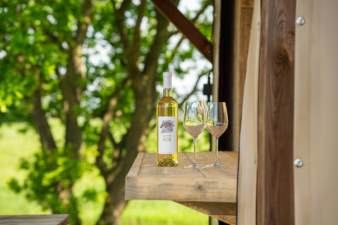 Una botella de vino blanco y dos copas en una repisa en la tienda Treehouse de Holiday Park Mölke.