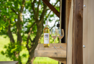 En flaske hvidvin og to vinglas på en træhylde under træerne ved Treehouse-teltet i Holiday Park Mölke.