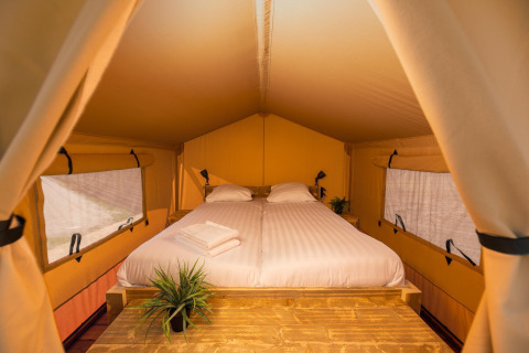Interieur van de Treehouse safaritent met tweepersoonsbed en planten bij Holiday Park Mölke in Nederland.
