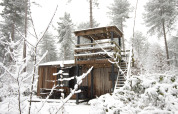 Cabaña Treetrunk de Cosy Cabins en el bosque nevado de Limburg, Bélgica, rodeada de árboles blancos.