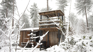 Das Treetrunk-Lodge von Cosy Cabins im verschneiten Wald von Limburg, Belgien, im Winter.