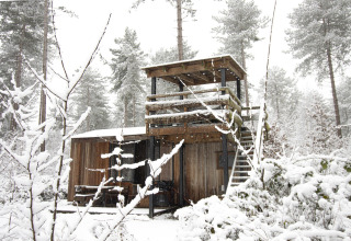 De Treetrunk-lodge bij Cosy Cabins in het winterse Limburgse bos, België, omgeven door sneeuw.
