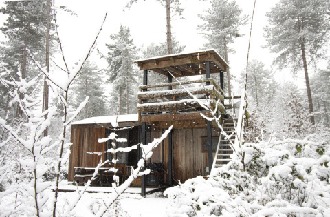 Cabaña Treetrunk de Cosy Cabins en el bosque nevado de Limburg, Bélgica, rodeada de árboles blancos.