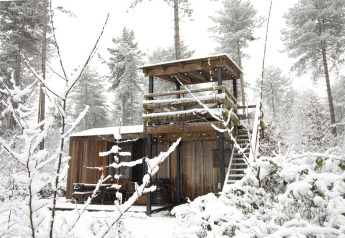 Trælodge Treetrunk fra Cosy Cabins i Limburg-skoven, Belgien, dækket af sne om vinteren.