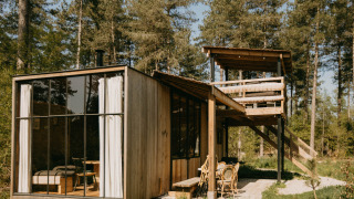 Moderne houten lodge Treetrunk bij Cosy Cabins in het bos van Limburg, België, omringd door hoge bomen.