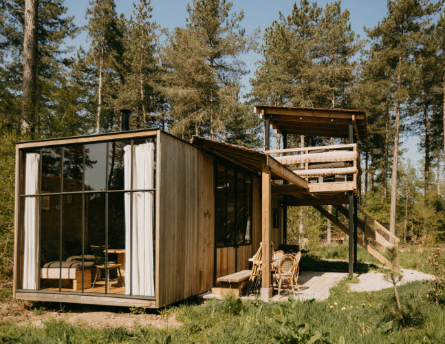 Cabaña moderna de madera en Treetrunk de Cosy Cabins en el bosque de Limburg, Bélgica, entre pinos altos.