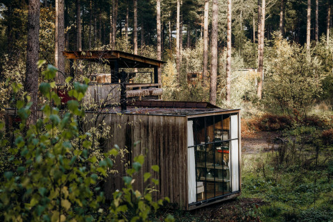 La cabaña Treetrunk en Cosy Cabins, en el bosque de Limburg, Bélgica, rodeada de naturaleza y árboles altos.