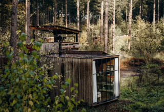 Eine Holzhütte namens Treetrunk bei Cosy Cabins im Wald von Limburg, Belgien, zwischen Bäumen gelegen.