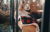 Vrouw omhelst haar witte hond in een knusse lodge met grote ramen in het bos van Limburg, België.