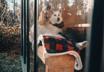 Vrouw omhelst haar witte hond in een knusse lodge met grote ramen in het bos van Limburg, België.