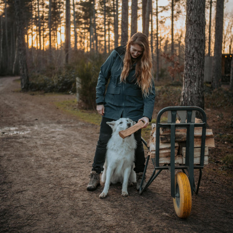 Mujer y perro recogen leña junto a una carretilla en Treetrunk Lodge, Cosy Cabins, Limburg, Bélgica.