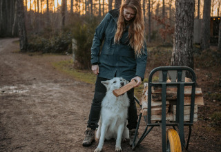 Vrouw en hond rapen hout bij een kruiwagen aan het Treetrunk Lodge bij Cosy Cabins, Limburg, België.