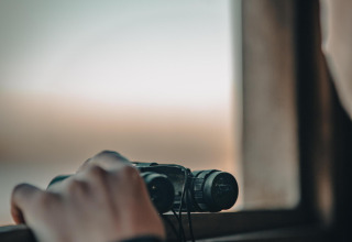 Person holding binoculars by a window at Treetrunk lodge, Cosy Cabins in the Limburg forest, Belgium.