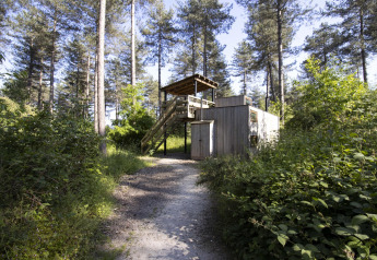 Træhytte ved navn Treetrunk blandt træerne i Limburgs skov, Cosy Cabins, Belgien, solrig dag.