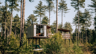 Una casa del árbol moderna llamada Treetop en Cosy Cabins en el bosque de Limburg, Bélgica, entre árboles altos.
