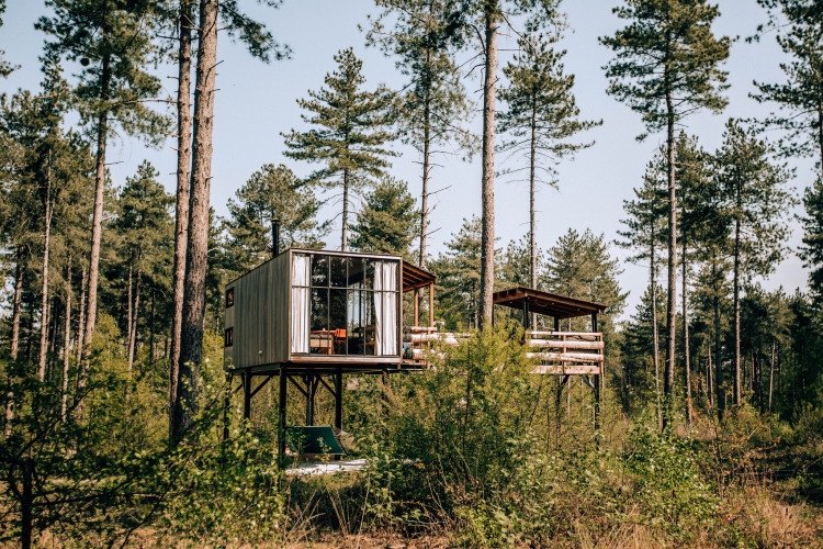 Una casa del árbol moderna llamada Treetop en Cosy Cabins en el bosque de Limburg, Bélgica, entre árboles altos.