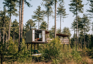 Una moderna casa sull'albero chiamata Treetop presso Cosy Cabins nella foresta di Limburg, Belgio, tra alberi alti.