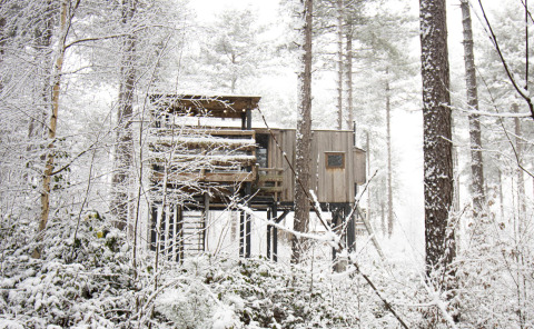 Casa del árbol llamada Treetop en Cosy Cabins, rodeada de bosque nevado en Limburg, Bélgica, entre árboles altos.