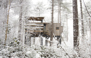 Casa del árbol llamada Treetop en Cosy Cabins, rodeada de bosque nevado en Limburg, Bélgica, entre árboles altos.