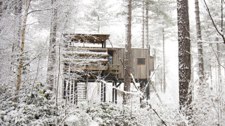 A treehouse named Treetop at Cosy Cabins in the snowy forest of Limburg, Belgium, surrounded by tall trees.