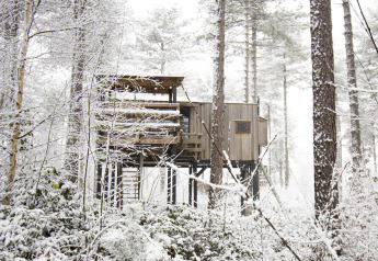 Casa del árbol llamada Treetop en Cosy Cabins, rodeada de bosque nevado en Limburg, Bélgica, entre árboles altos.