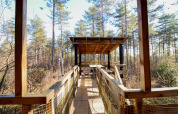 Treetop treehouse at Cosy Cabins in the sunlit Limburg forest, Belgium, seen from the entrance walkway.