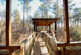 Baumhaus Treetop von Cosy Cabins im sonnigen Wald von Limburg, Belgien, mit Blick von der Terrasse.