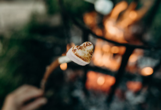 Marshmallow a forma di cuore arrostito su uno stecco al fuoco da campo a Feather Down TaarTenTuin, Olanda Meridionale.