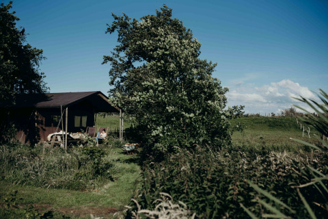 Glampingtent bij Feather Down TaarTenTuin vakantiepark in Zuid-Holland, Nederland, temidden van het groen.