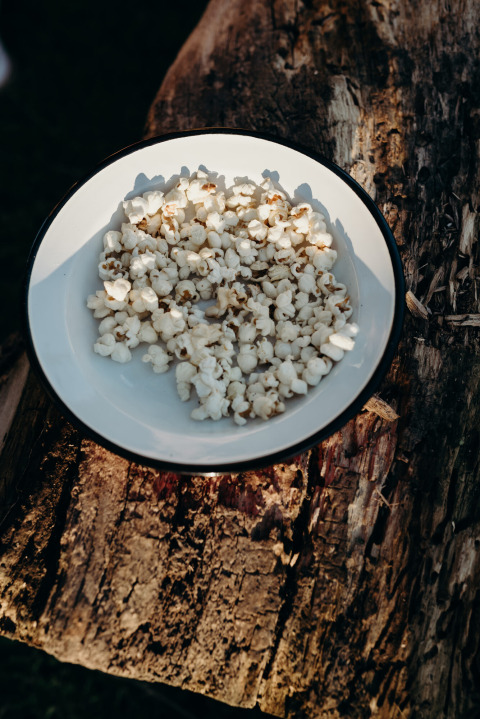 En skål med popcorn placeret ovenpå en træstamme, fotograferet i Feather Down TaarTenTuin i Sydholland.