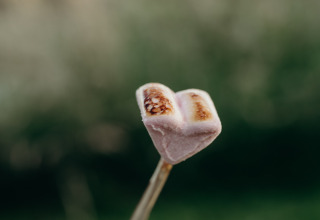 Geroosterde marshmallow op een stokje bij Feather Down TaarTenTuin vakantiepark, Zuid-Holland, Nederland.