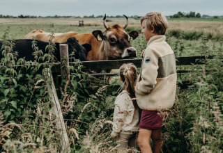 To børn står ved et hegn og kigger på køer på en mark nær Aarlanderveen, Sydholland, Holland.