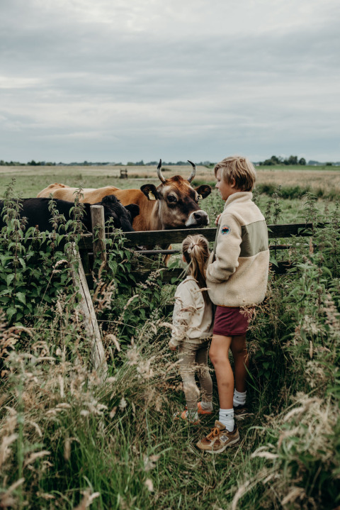 Twee kinderen staan aan een hek en kijken naar koeien in een weide nabij Aarlanderveen, Zuid-Holland.