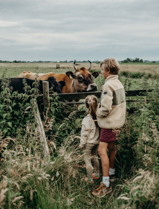 Dos niños observan vacas junto a una cerca en un campo cerca de Aarlanderveen, Holanda Meridional.