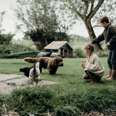 Dos niños juegan con un perro, gallinas y un pavo real en el césped de Feather Down TaarTenTuin, Holanda Meridional.
