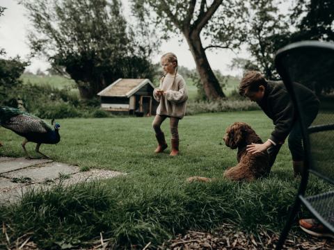 Dos niños juegan en el césped con un perro mientras un pavo real pasa cerca en Aarlanderveen, Holanda Meridional, Países Bajos.