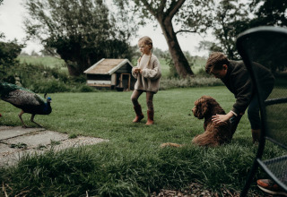 Zwei Kinder spielen auf einer Wiese mit einem Hund, während ein Pfau in Aarlanderveen, Südholland, entlanggeht.