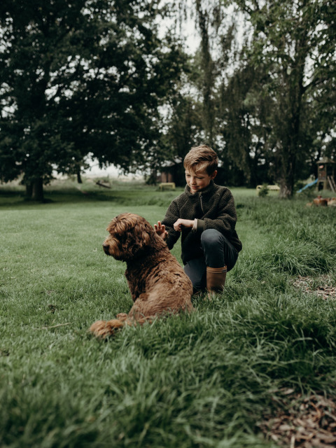 Un niño juega con su perro marrón sobre el césped cerca de Aarlanderveen, Holanda Meridional, Países Bajos.