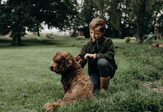 Een jongen speelt met zijn bruine hond in het gras nabij Aarlanderveen, Zuid-Holland, Nederland.