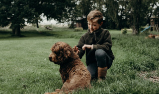 Un niño juega con su perro marrón sobre el césped cerca de Aarlanderveen, Holanda Meridional, Países Bajos.