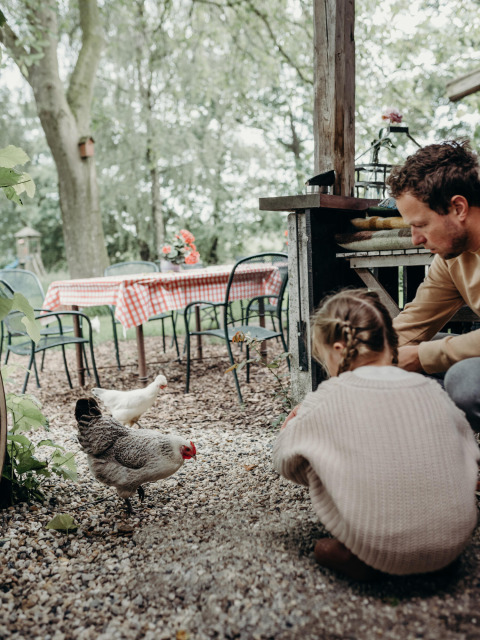 Een man en een kind voeren kippen naast een tafel met rood-wit kleed in een bosrijk vakantiepark.